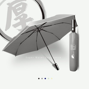 【RainSKY】48吋厚磅機能自動傘_SGS最高認證 /傘 雨傘 折疊傘 陽傘 洋傘 大傘 抗UV 防風 潑水