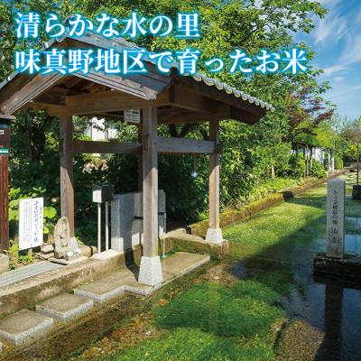 ふるさと納税 越前市 令和5年 新米 福井県産 栽培期間中農薬を減らして栽培したこしひかり 12kg(玄米)