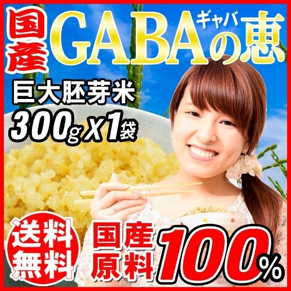 玄米 gABAの恵 国産 巨大胚芽米 ギャバ 300g 玄米 白米モードで炊けます 送料無料 国内産100％ お米 スーパーフード 食物繊維