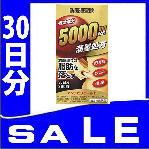 阪本漢法の防風通聖散S錠 360錠 ×3