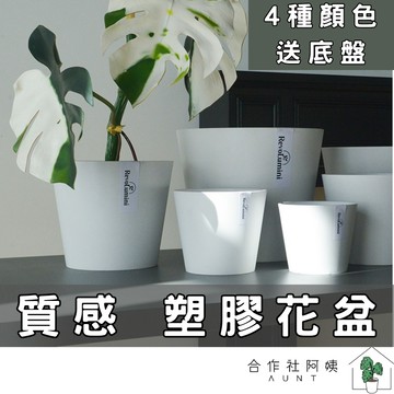 【現貨-隔日配】塑膠花盆 花盆 塑膠盆 園藝 園藝花盆 水泥盆 花盆 多肉花盆 盆器 無孔 031