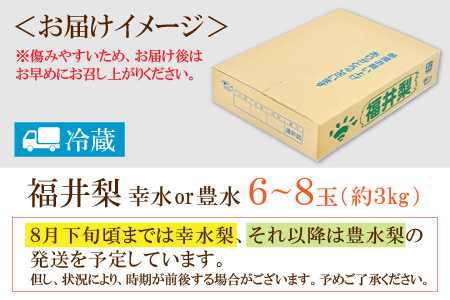 福井梨 3kg 6～8玉入 《幸水梨 豊水梨どちらかのお届け！》 ／ 期間限定 果物 フルーツ 産地直送 旬 お取り寄せ ※2024年8月中旬以降発送