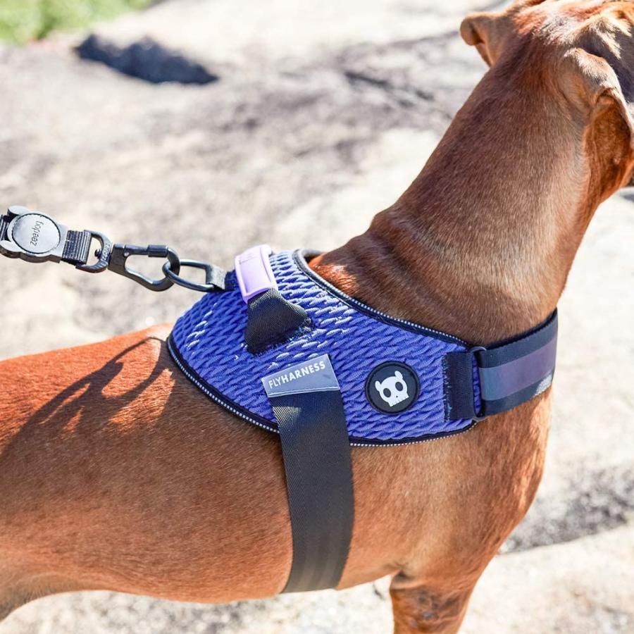 フライハーネス XSサイズ FLY HARNESS ZEE DOG ジードッグ