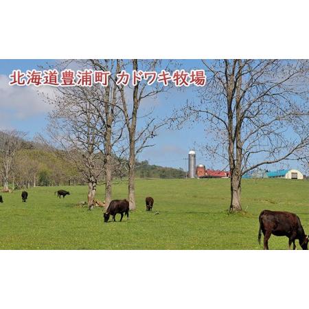 ふるさと納税 北海道 黒毛和牛 カドワキ牛 サーロイン ステーキ 3枚 200〜220g 枚 北海道豊浦町