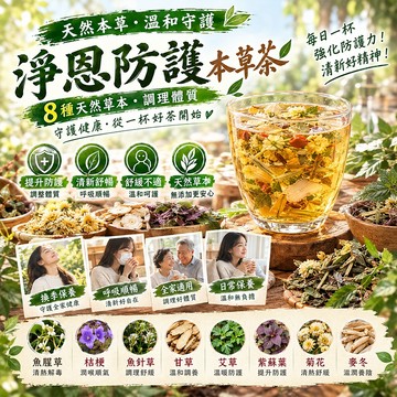 【敏感必備】淨思防護本草茶 魚腥草茶包 菊花茶 青草茶 魚腥草 桔梗 魚針草 甘草 艾草 紫蘇葉 菊花 麥冬 養生茶 茶