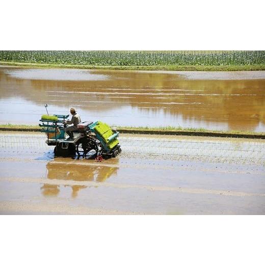 ふるさと納税 熊本県 南関町 K01-2特別栽培米 玄米 24kg