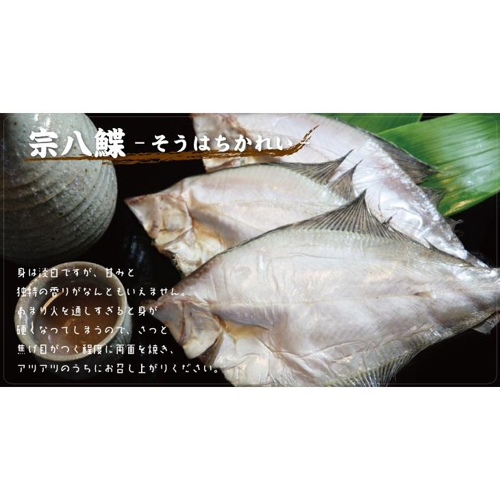 干物 一夜干し 詰合せ 送料無料 ギフト 贈り物 真空 海産物 北の魚 一夜干し 豪華 セット