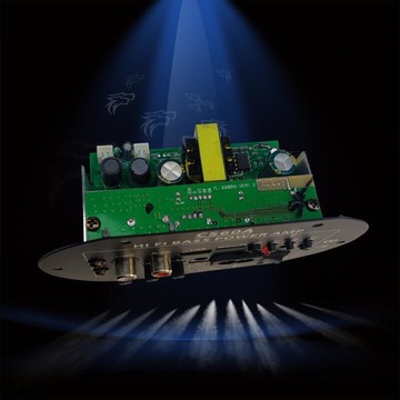 ??免運特價??12V24V220V低音炮功放板5.6寸8寸10寸15寸數字大功率板功放板  拍賣