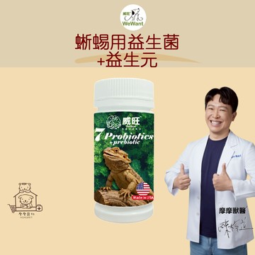 【動物醫院直送】免運隔日配 威旺 WeWant 蜥蜴用 益生菌+益生元 超能7菌配方 30g 腸道 特寵 好食慾 消化