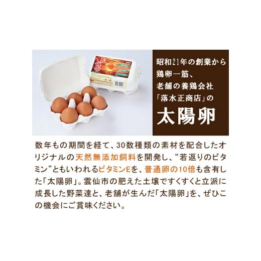 ふるさと納税 長崎県 雲仙市 旬の野菜・フルーツセット定期便 13品目から15品目の豪華セット