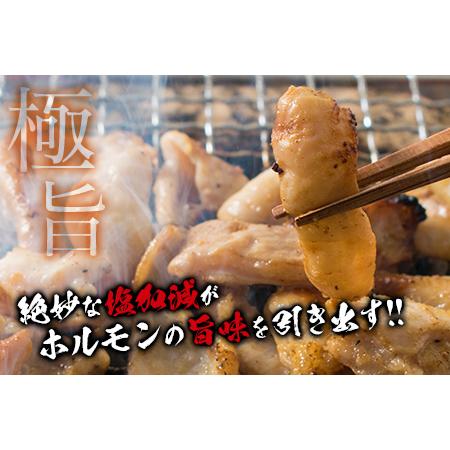 ふるさと納税 ≪数量限定≫豚ホルモンセット(塩＆味噌)合計1.6kg以上　肉　豚肉　惣菜　国産　戸村本店特製 BD61-22 宮崎県日南市