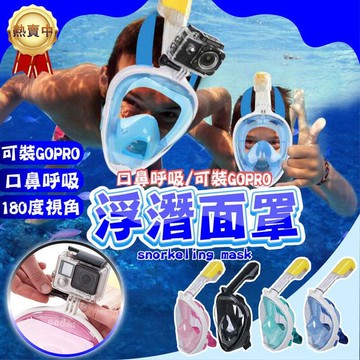 水面罩 潛水面鏡 潛水蛙鏡 浮潛面罩 乾式面鏡 潛水鏡 蛙鏡
