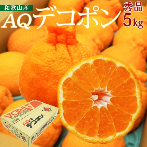 DN6012n_和歌山県産 AQ デコポン 5kg 秀品 (12～24玉)