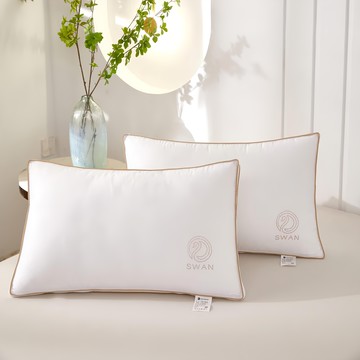 Ishur 伊舒爾 水鑽超柔立體羽絲枕 2入 表布 58%棉 柔軟舒適  72 x 46cm  1組