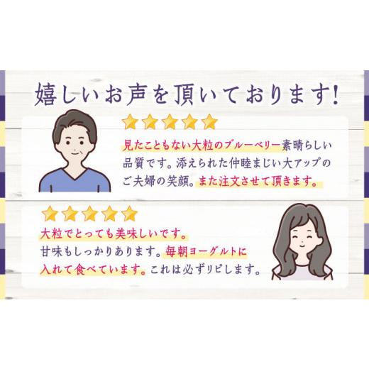 ふるさと納税 熊本県 山都町 冷凍ブルーベリー 大粒 計1kg (約500g×2パック) 熊本県産 山都町産 ブルーベリー フルーツ スムージー 果物 小分け …