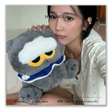 【HAO NICE】100%韓國正品 PEACEMINUSONE權志龍GD周邊ZOA聯名 煤氣罐小貓咪絨毛玩偶 娃娃 擺飾 收藏