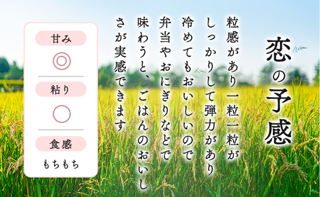 2023年産収穫「恋の予感」精米5kg