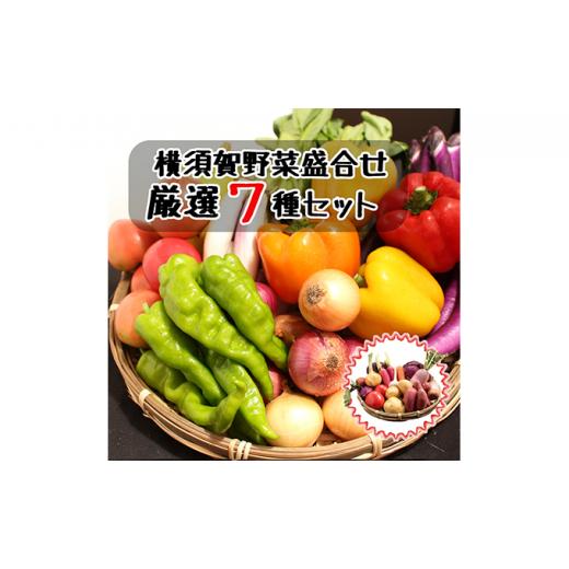 ふるさと納税 神奈川県 横須賀市 横須賀産　厳選野菜7種盛り合わせ