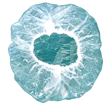 ROYALLIN 蘿林嚴選 一次性保鮮膜套 100入 食品用PE材質  1組