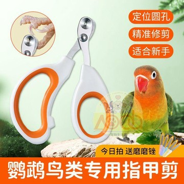 【可開收據】玄鳳鸚鵡專用指甲剪 爪子小鳥指甲剪 新手磨甲虎皮牡丹養鳥必備用品 FGTT