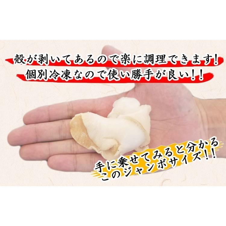 50%OFFクーポン有 つぶ貝 ツブ貝 お刺身OK 大粒 生ツブガイ1kg 500g×2 ロシア産 コリッコリの割烹料亭食感 魚介類 海産物 海鮮 刺し身 IQF個別冷凍