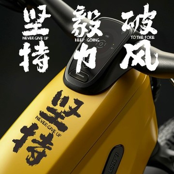 ⚡臺灣出貨 自行車貼紙 公路車裝飾 公路車貼紙 自行車裝飾 【店鋪熱銷】車貼自行車運動勵誌文字車架貼紙創意堅持毅力破風公