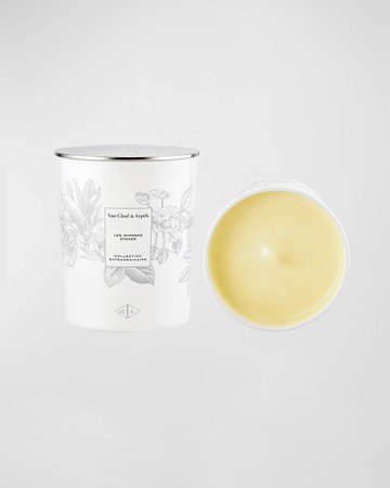Les Mimosas D'Hiver Candle, 200 g