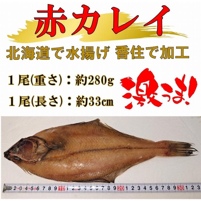 干物 カレイ かれい 赤カレイ 赤かれい アカカレイ 一夜干し 特大 8尾入り 北海道産 身厚 大容量 冷凍便 送料無料