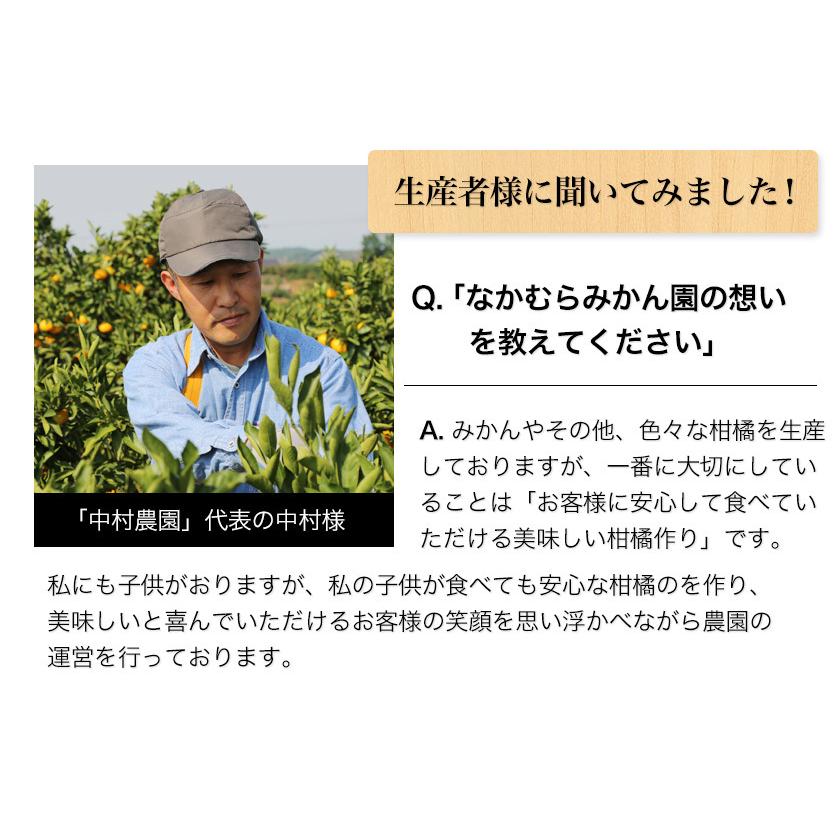 みかん 3代目みかん職人 中村公俊さんのみかん 5kg 熊本県産 S-Lサイズ混合 ミカン 果物 柑橘 フルーツ 7-14営業以内発送予定(土日祝除く)