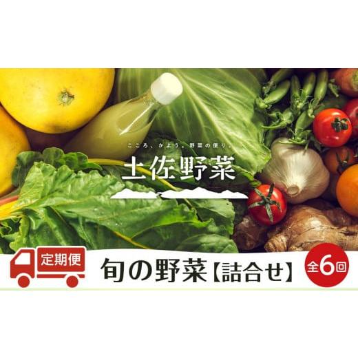ふるさと納税 高知県 南国市 『定期便 全6回』旬の野菜の詰め合わせ
