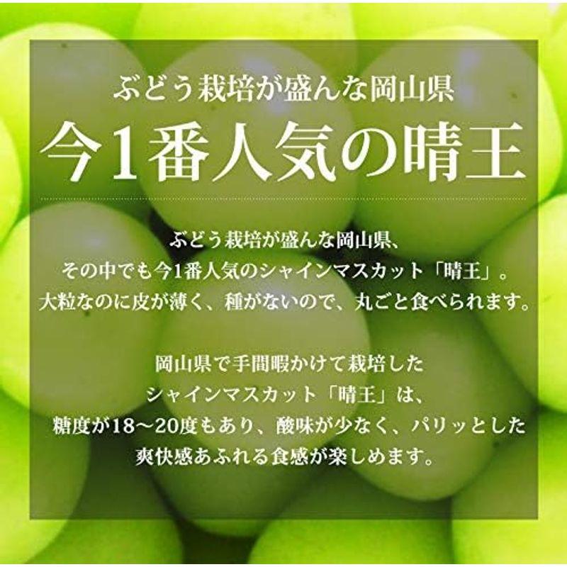 ぶどう シャインマスカット 晴王 秀品 約700g 1房 ハウス栽培 岡山県産 ブドウ フルーツ 果物 グルメ お祝対応 お礼対応 お供対応