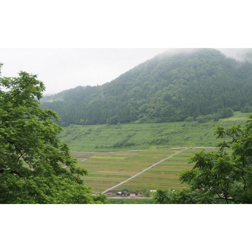 ふるさと納税 富山県 魚津市 令和5年産　天日干し自然栽培米コシヒカリ「富の環」　白米9kgひえばた園 [No.5617-0…