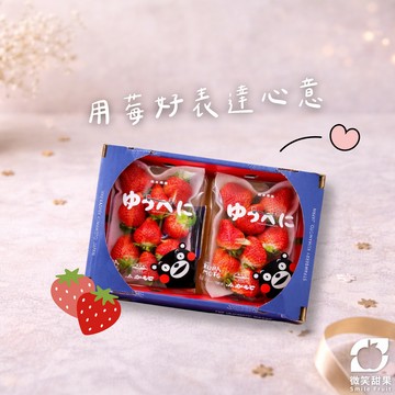 3日內出貨・日常送禮【微笑甜果】日本熊本草莓禮盒・熊本草莓・日本草莓禮盒・產地直送草莓・伴手禮