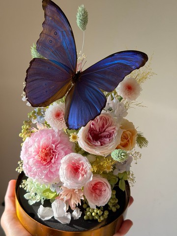 摩爾藍閃蝶。永生花玻璃盅∣開幕∣情人節∣入厝∣紀念日∣退休∣
