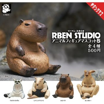 全套4款 日本正版 RBEN STUDIO 胖胖動物公仔 P5 扭蛋 轉蛋 胖胖動物 環尾狐猴 小食蟻獸 水豚 袋鼠 動物模型 KITAN 奇譚 331382
