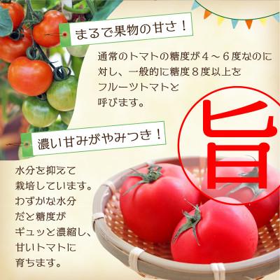 ふるさと納税 高知市 高知市春野町産　有さんのフルーツトマト　(約1.3kg〜約1.5kg)　