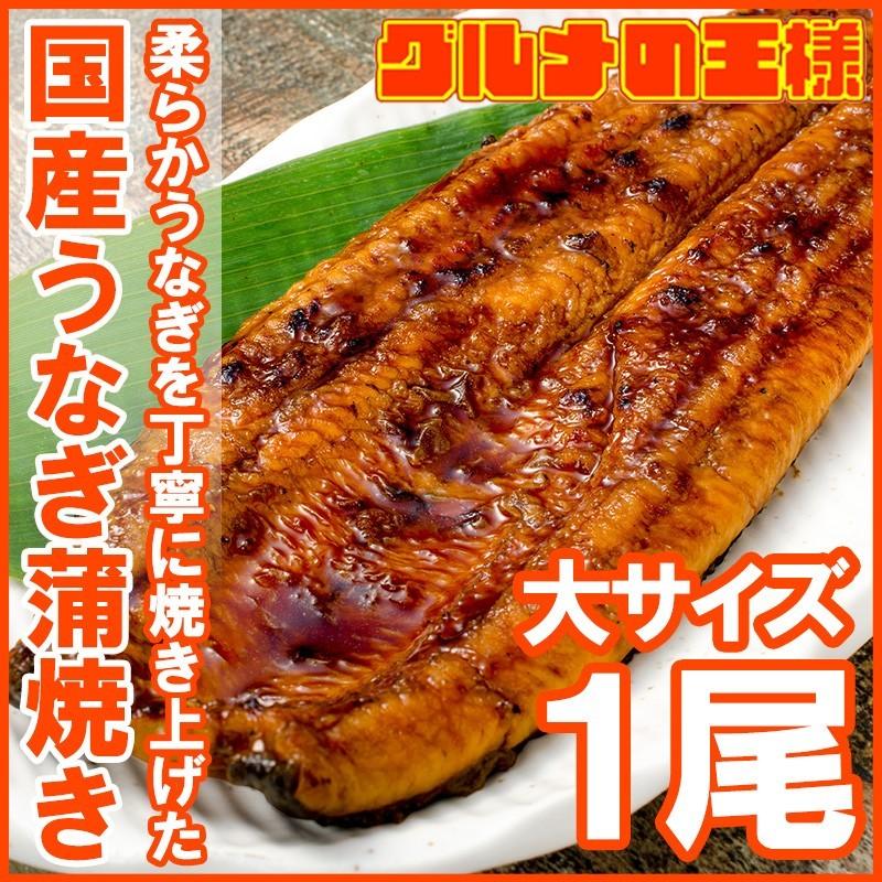 国産うなぎ蒲焼き 大サイズ 平均165g前後×1尾