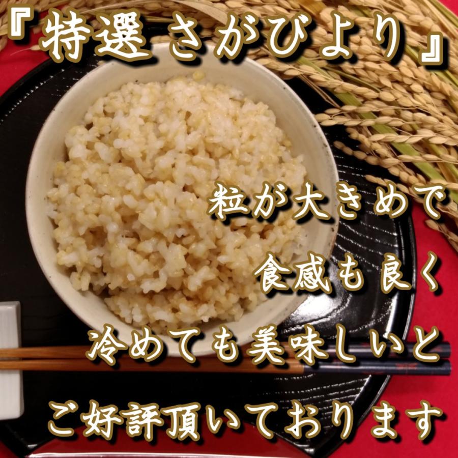 お米　５kg　さがびより　玄米　　特A　産地直送　お米マイスター厳選　佐賀県産　米　　特選玄米　有機肥料