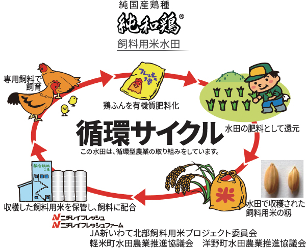 純和鶏　赤鶏むね肉