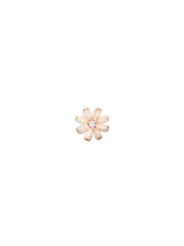 DAISLY 14K Earrings (JJDAEQ5B3251R4P00)