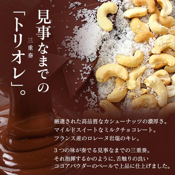 カシューナッツ塩ショコラ 200g (カシューチョコ 塩チョコ チョコレート ナッツ)