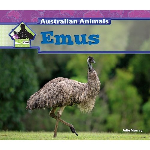 Emus (Australian Animals)