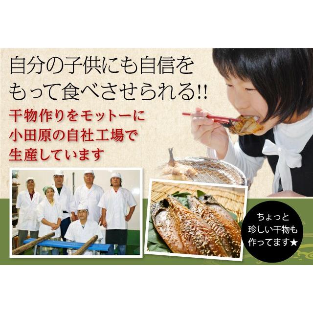 真あじ 干物 （中）・国産・15枚入自分の子供にも自信をもって食べさせています！