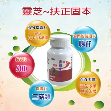 靈芝 子實體 10倍濃縮 靈芝子實體  靈芝 多醣體 含量高 靈芝複方錠 靈芝單方膠囊