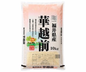 千亀利 福井県産華越前 10kg×1袋入｜ 送料無料