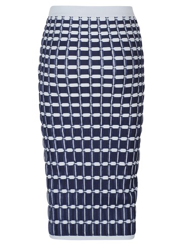 Elisabetta Franchi Skirt