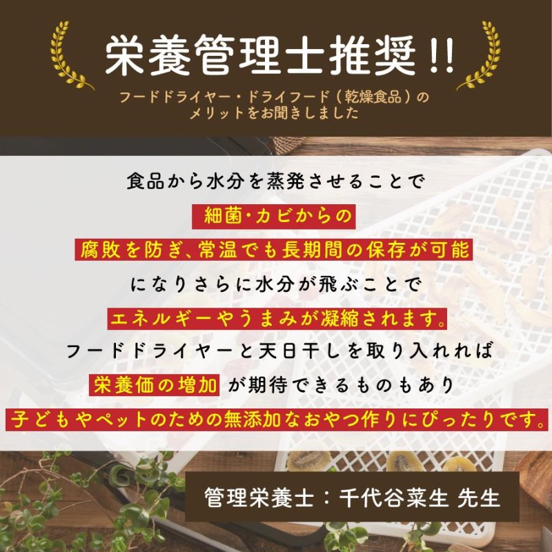 フードドライヤー 食品乾燥機 野菜乾燥 専用レシピ付 トレイ2枚