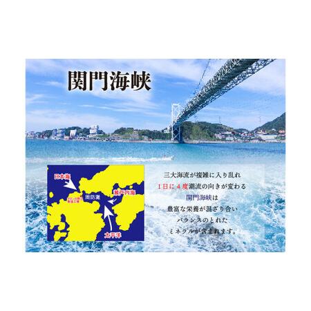 ふるさと納税 深海の恵み 関門の塩 合計500g (100g×5袋) ミネラル 塩 調味料 塩分濃度86.1％ カルシウム マグネシウム カリウム しお 少.. 福岡県北九州市