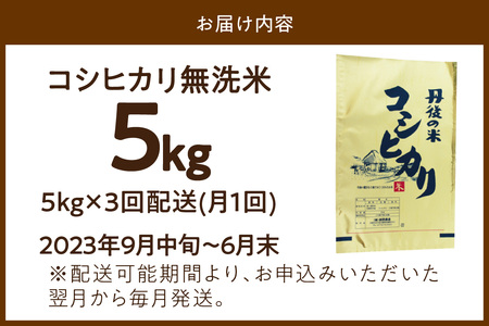 無洗米・定期便（3回）／2023年産 京都・丹後コシヒカリ 無洗米 5kg 作り手が見えるコシヒカリを無洗米に！ 米 定期便、新米 無洗米 定期便、令和5年産 米 定期便、お米 定期便、こしひかり 無洗米 定期便