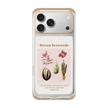 iPhone 17 Pro Max ClearX 暖透橘 - The Seaweed Studio - 德文郡・海藻海報